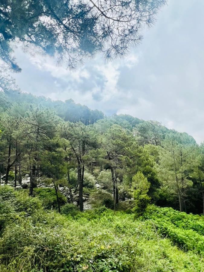 El Latido Del Tietar Villa Lanzahita Dış mekan fotoğraf